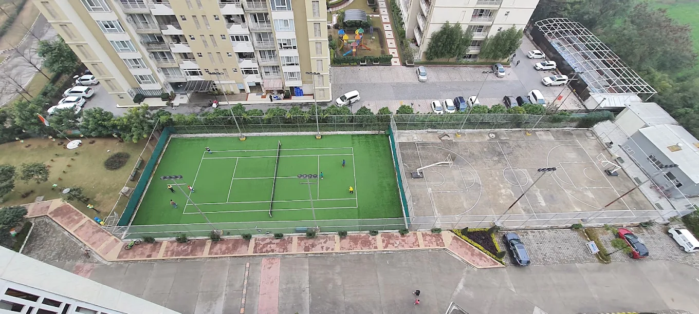 JLPL Falcon View